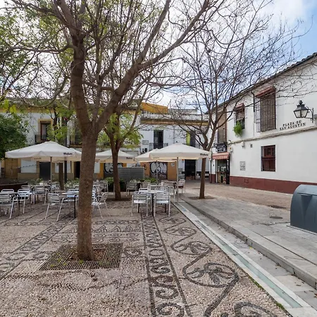 Bhost - Hinojo Апартаменти